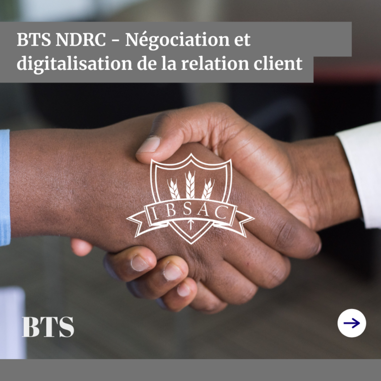 BTS NDRC – Négociation et digitalisation de la relation…