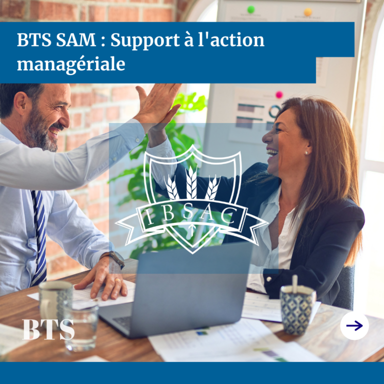 BTS SAM – Support à l’action managériale